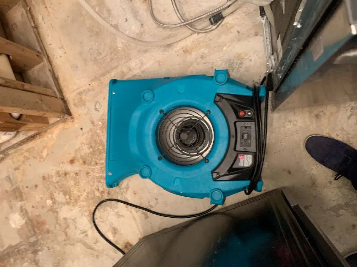 Air mover drying equipment for Mold Remediation & Removal in Glendale